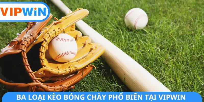 Ba loại kèo bóng chày phổ biến tại VIPWIN