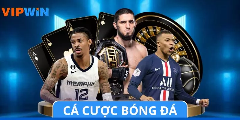 Cá Cược Bóng Đá: Nắm Bắt Xu Hướng Kèo Đấu Năm 2026