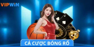 Cá Cược Bóng Rổ: Cẩm Nang Từ A-Z Dành Cho Mọi Hội Viên