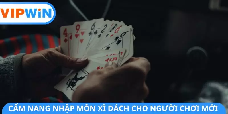 Cẩm nang nhập môn Xì Dách cho người chơi mới