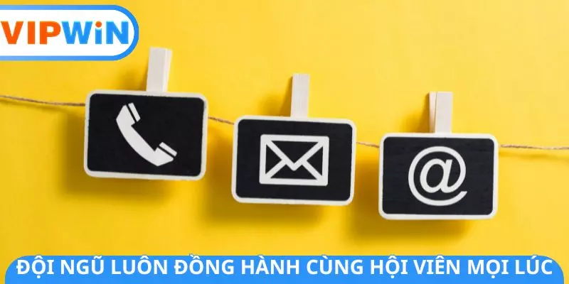 Đội ngũ luôn đồng hành cùng hội viên mọi lúc