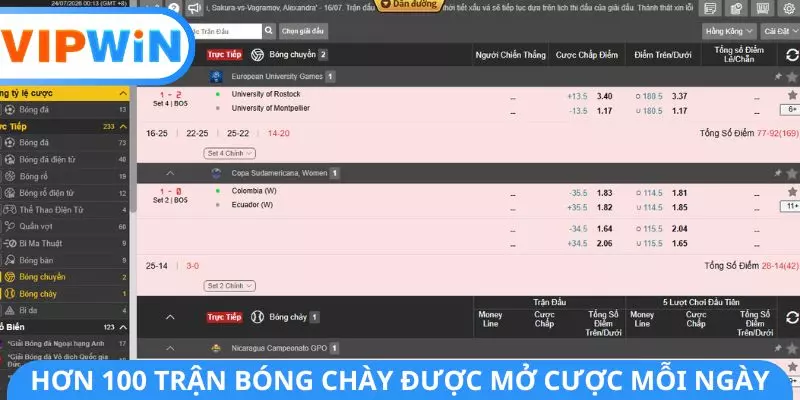 Hơn 100 trận bóng chày được mở cược mỗi ngày