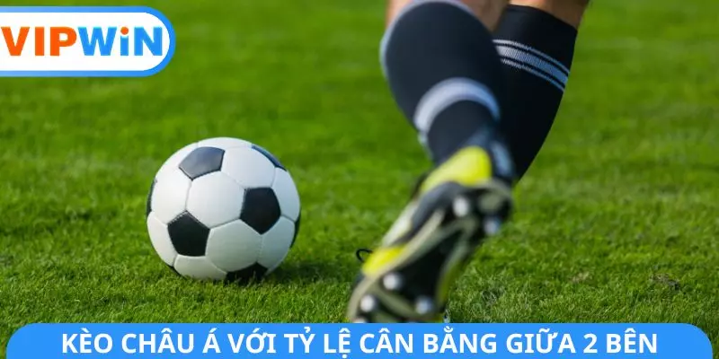 Kèo châu Á với tỷ lệ cân bằng giữa 2 bên Kèo châu Á với tỷ lệ cân bằng giữa 2 bên